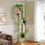 TripleTower green floor-to-ceiling cat tree in a classic living room with three cats TripleTower green floor-to-ceiling cat tree in a classic living room with three cats
