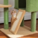 Floor to ceiling TripleTower scratching post green with cat scratching climbing ramp Floor to ceiling TripleTower scratching post green with cat scratching climbing ramp