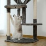 DualTower scratching post grey variant with cat playing with ball DualTower scratching post grey variant with cat playing with ball
